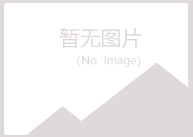 尼玛县夜山能源有限公司